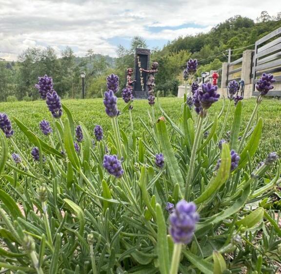 Pensão Evenimente Edelweiss