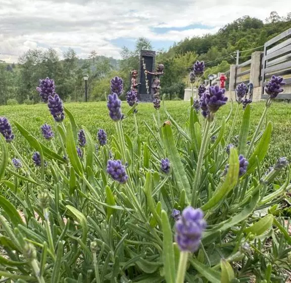 ペンション Evenimente Edelweiss