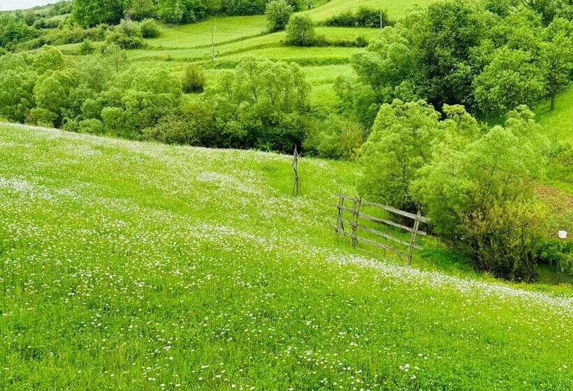 Pensão Evenimente Edelweiss