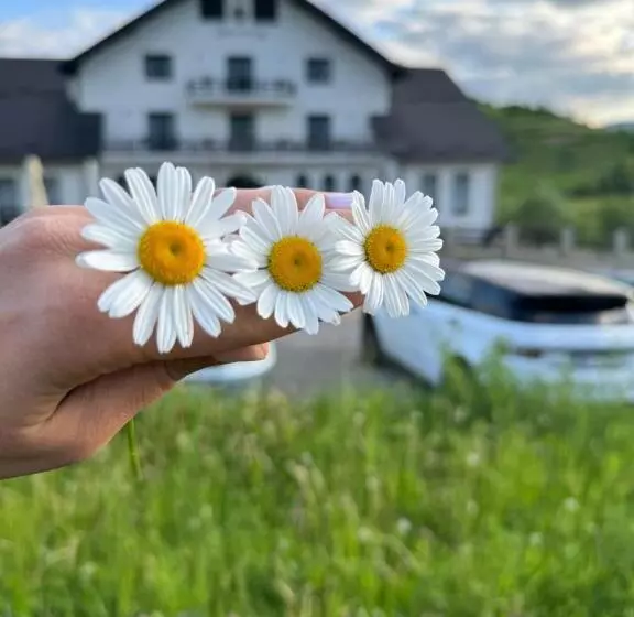 ペンション Evenimente Edelweiss