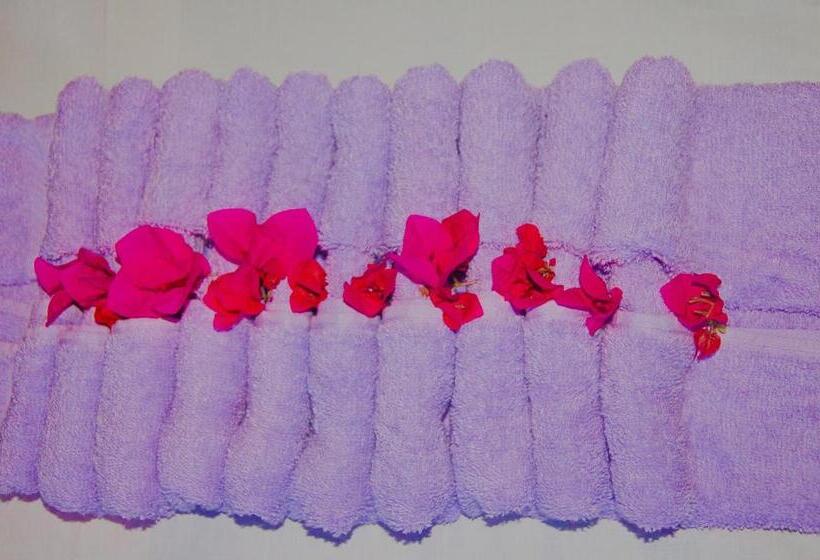 旅馆 Summer Dream Lodge