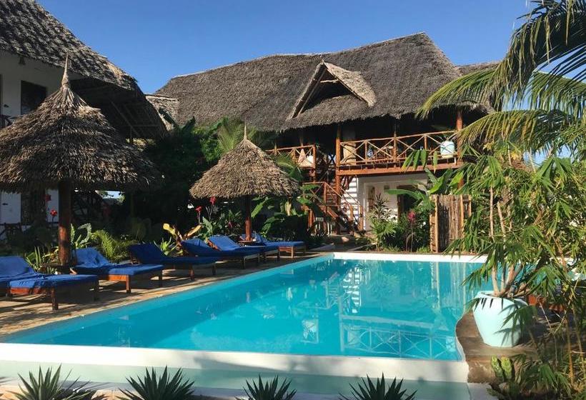 مبيت وإفطار Maisha Nungwi   Boutique