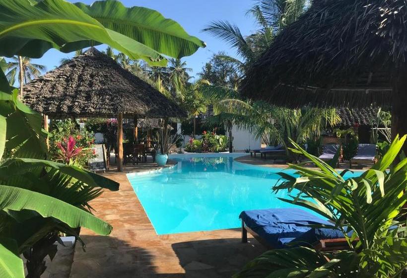 مبيت وإفطار Maisha Nungwi   Boutique