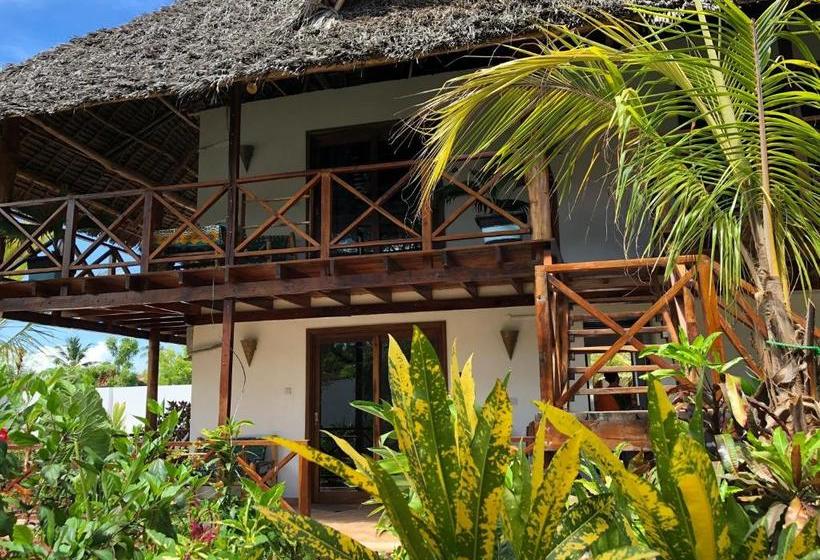 مبيت وإفطار Maisha Nungwi   Boutique