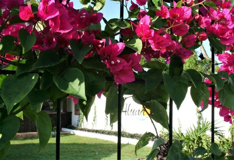 مبيت وإفطار Maisha Nungwi   Boutique