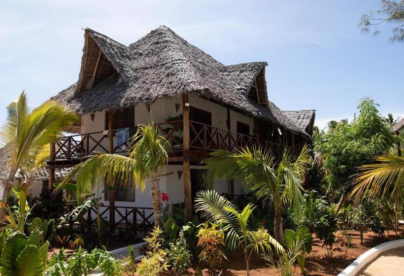 مبيت وإفطار Maisha Nungwi   Boutique