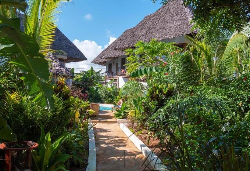 مبيت وإفطار Maisha Nungwi   Boutique