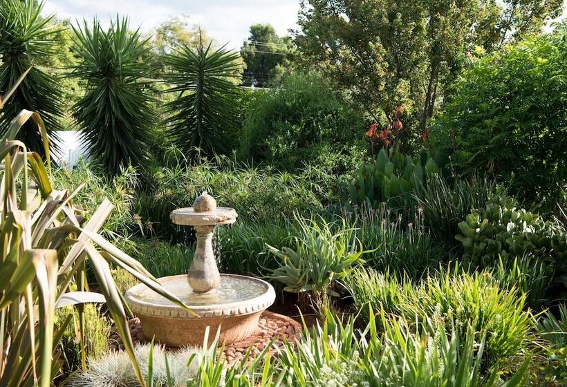 Bed & Breakfast Amohela Guesthouse