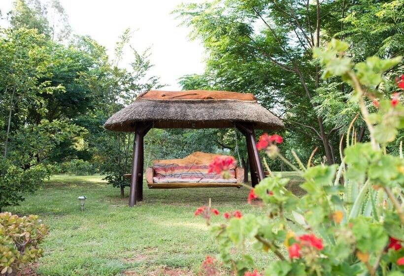 Bed & Breakfast Amohela Guesthouse