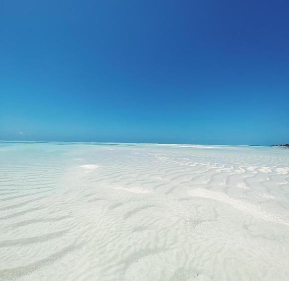 Bed & Breakfast Lighthouse Guesthouse