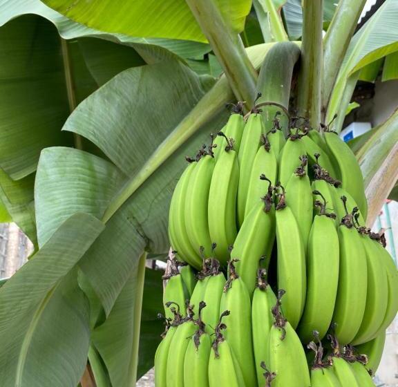 Bed & Breakfast Lighthouse Guesthouse