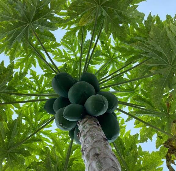 Bed & Breakfast Lighthouse Guesthouse