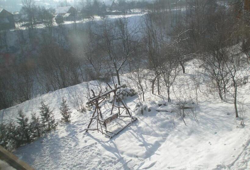 ホテル гуцульська хата