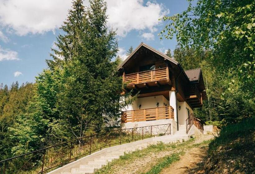 Отель Karpatski Dzherela