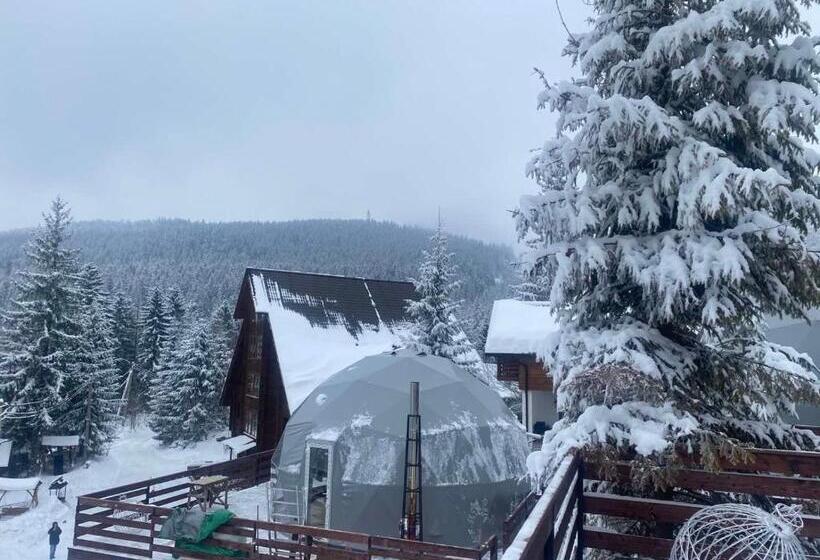 Отель Karpatski Dzherela