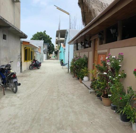 Fotos del hotel Siesta Beach:  14