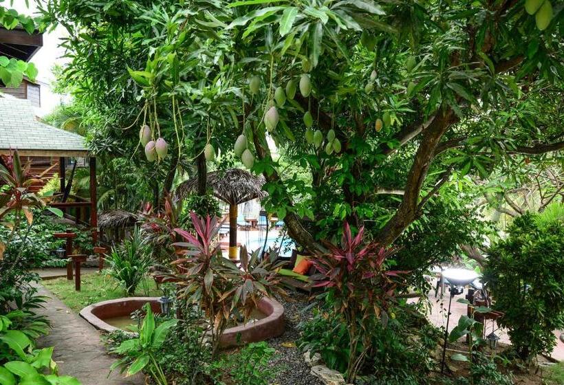 هتل West Bay Lodge And Spa