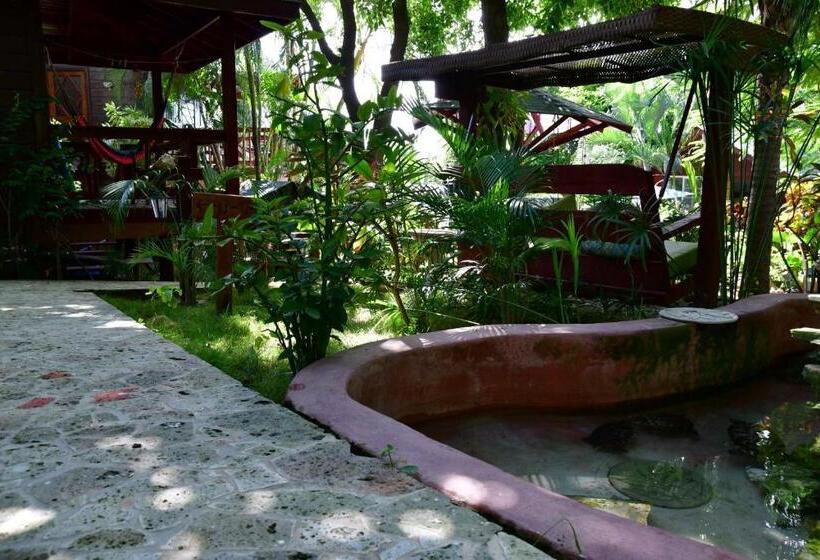 هتل West Bay Lodge And Spa