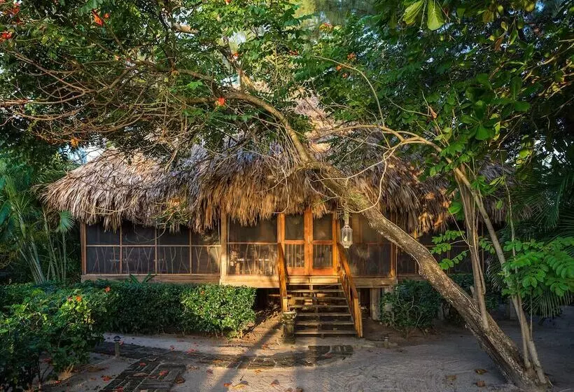 استراحتگاه Turtle Inn By Francis Ford Coppola