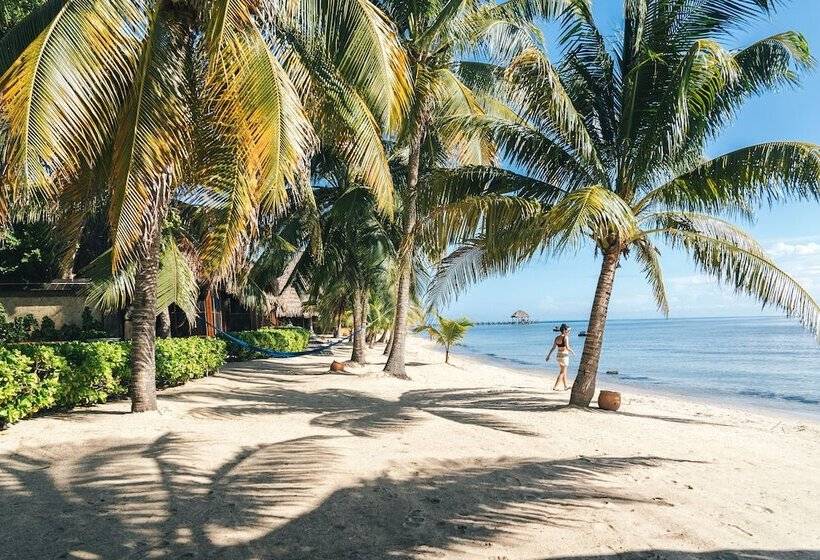 منتجع Turtle Inn By Francis Ford Coppola