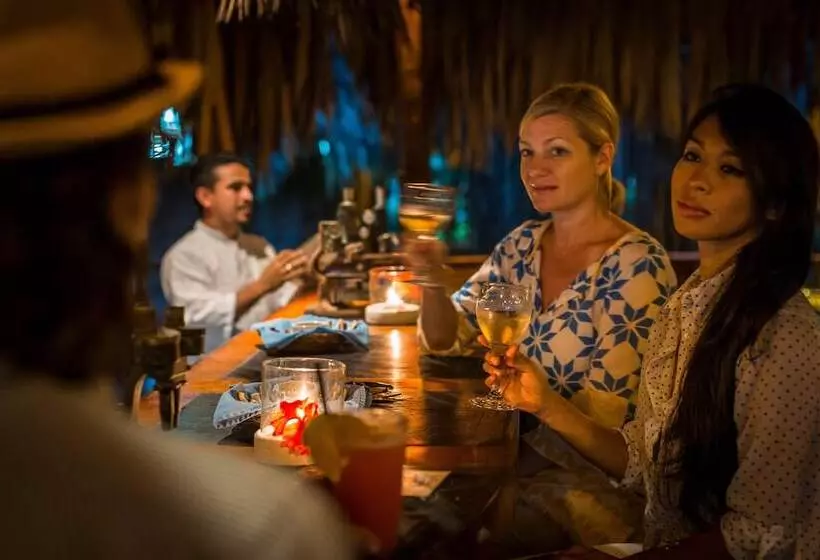 استراحتگاه Turtle Inn By Francis Ford Coppola