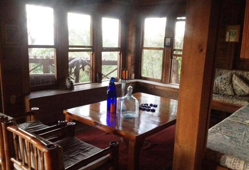 Roatan Bed & Breakfast Apartments