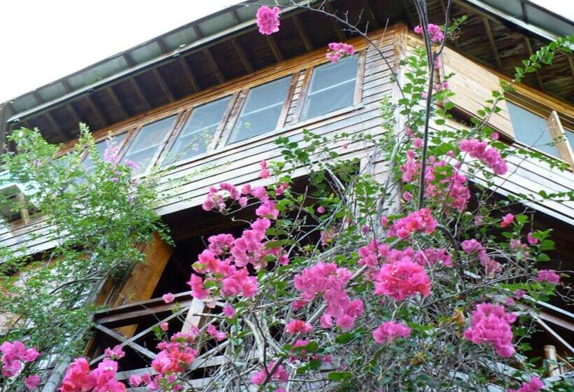 Roatan Bed & Breakfast Apartments