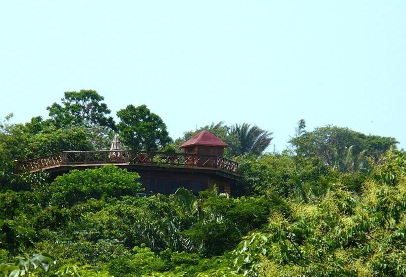 Roatan Bed & Breakfast Apartments