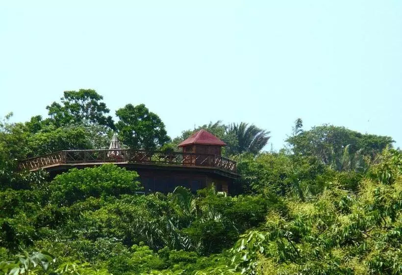 Roatan Bed & Breakfast Apartments