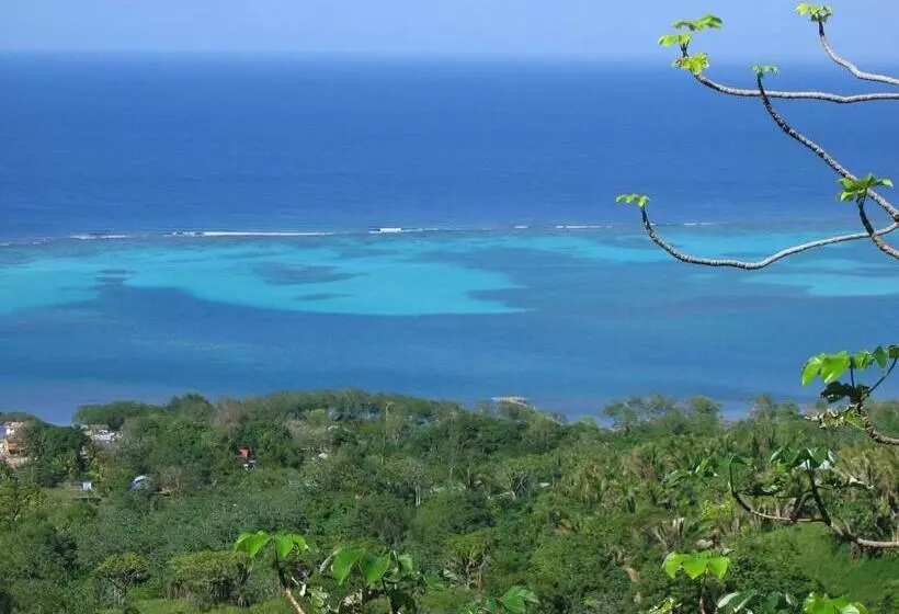 Roatan Bed & Breakfast Apartments