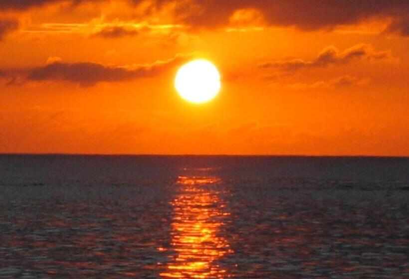 Roatan Bed & Breakfast Apartments