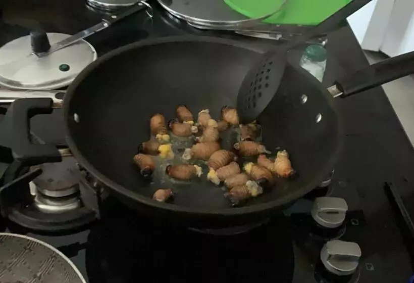 Aamiaismajoitus (B&B) Birdsong Lodge