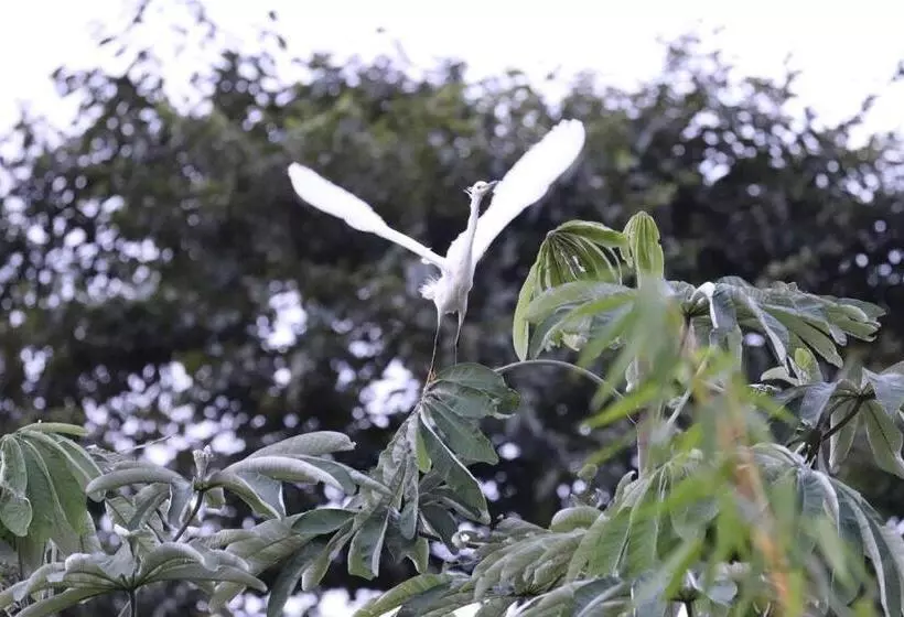 Aamiaismajoitus (B&B) Birdsong Lodge