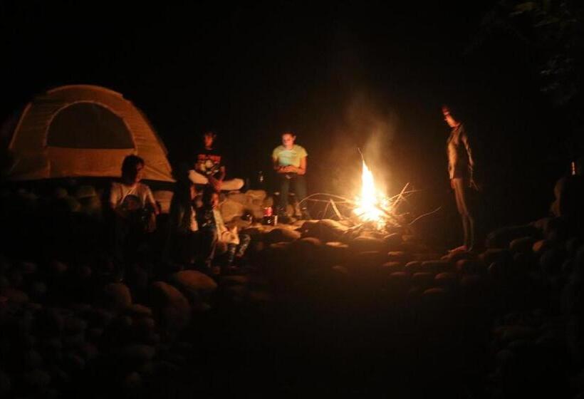 ベッドアンドブレックファースト Birdsong Lodge