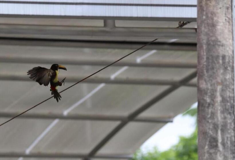 ベッドアンドブレックファースト Birdsong Lodge