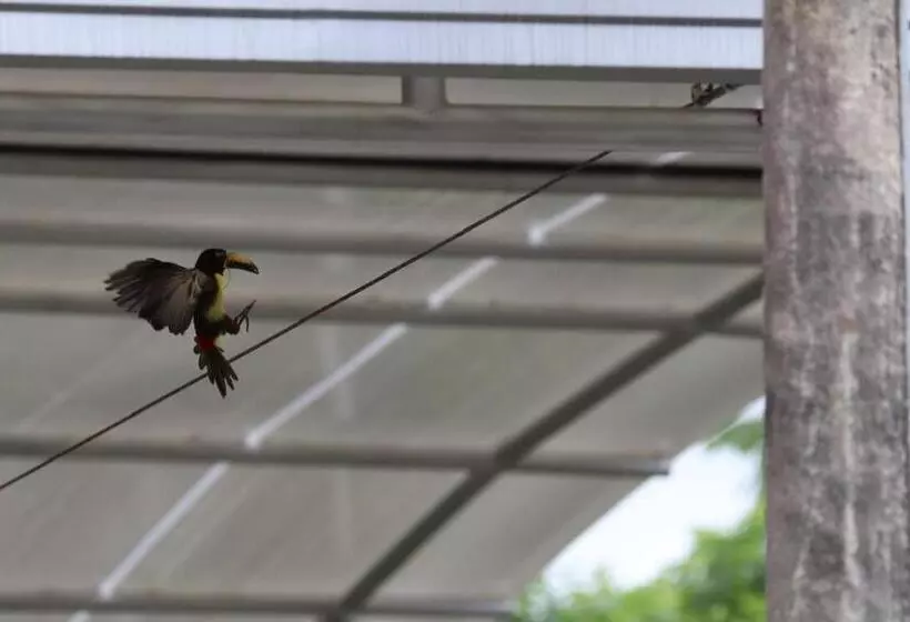 Aamiaismajoitus (B&B) Birdsong Lodge