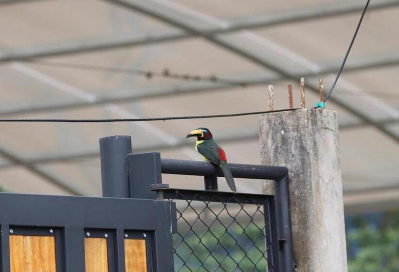 ベッドアンドブレックファースト Birdsong Lodge