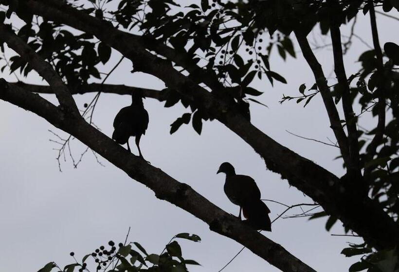 ベッドアンドブレックファースト Birdsong Lodge