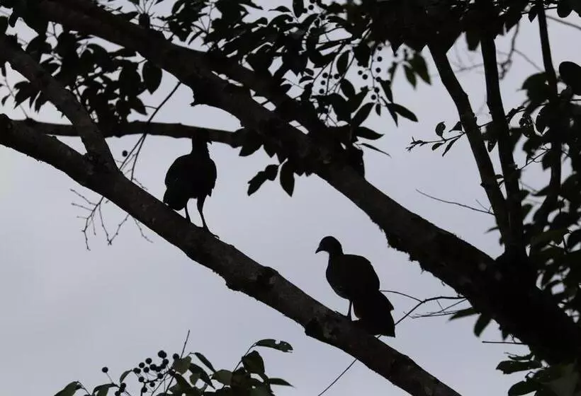 Aamiaismajoitus (B&B) Birdsong Lodge