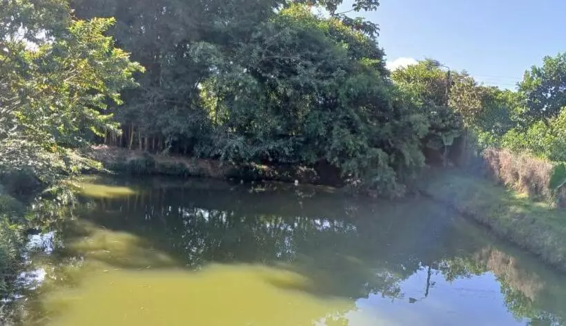 Aamiaismajoitus (B&B) Birdsong Lodge