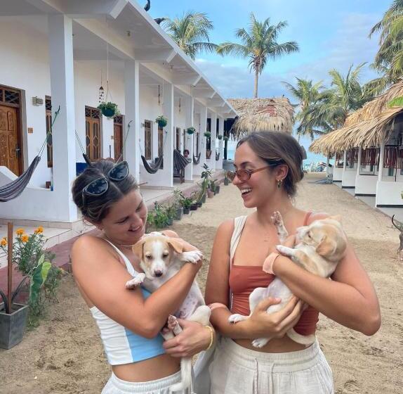 בית מלון כפרי No Name Beach Resort