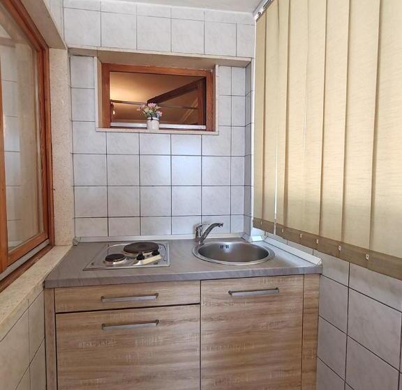 پانسیون Apartments Lucerna