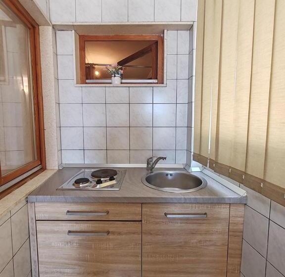 پانسیون Apartments Lucerna