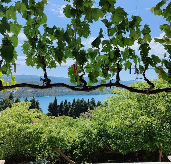 پانسیون Apartments Lucerna