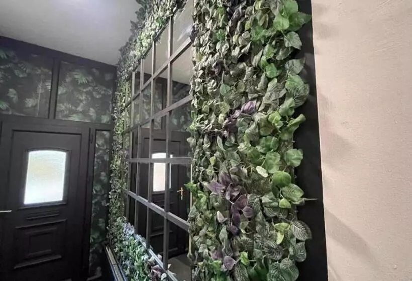 ペンション Dream Home