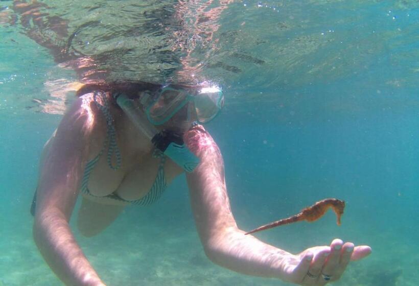 호스텔 Sentigi Homestay Gili Gede