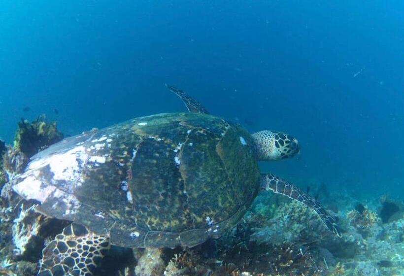 호스텔 Sentigi Homestay Gili Gede