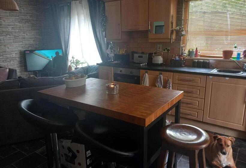 住宿加早餐  Sycamore Place