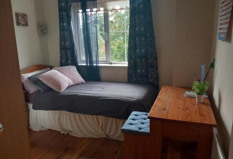 住宿加早餐  Sycamore Place