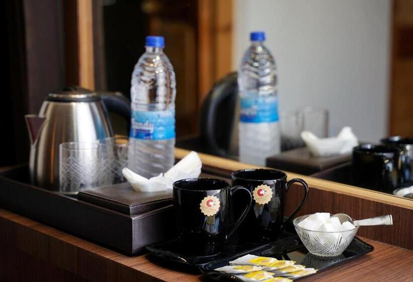 هتل Villa Homey Inn , Srinagar